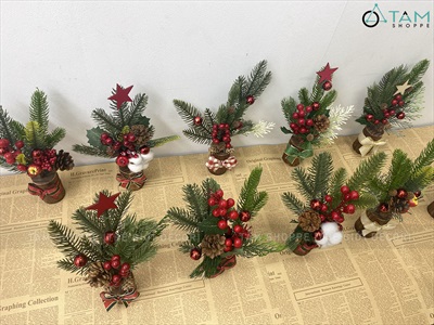 Chậu thông mini để bàn cành đỏ mọng cao 28cm đế gỗ [Nhiều kiểu] CHAUCAYGIA-19